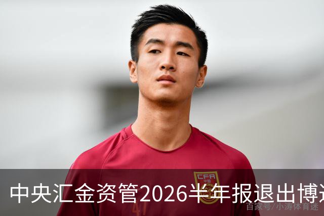 中央汇金资管2026半年报退出博迁新材前十大股东名单