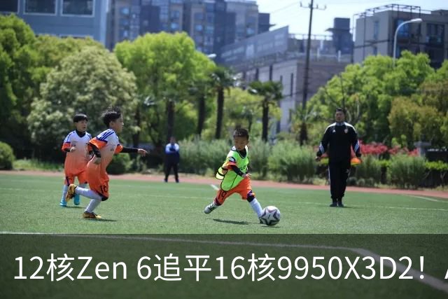 12核Zen 6追平16核9950X3D2！AMD下代架构IPC大爆发